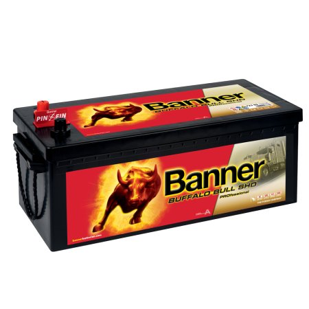 Autobaterie Banner Buffalo Bull SHD PROfessional 725 03, 225Ah, 12V (72503), technologie Ca/Ca